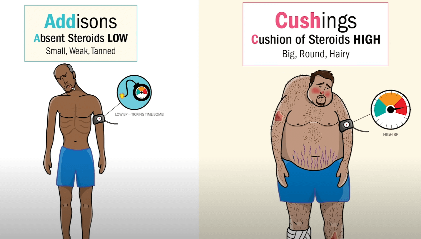 Simple Nursing NCLEX Review Will It Help You Pass The Exam?